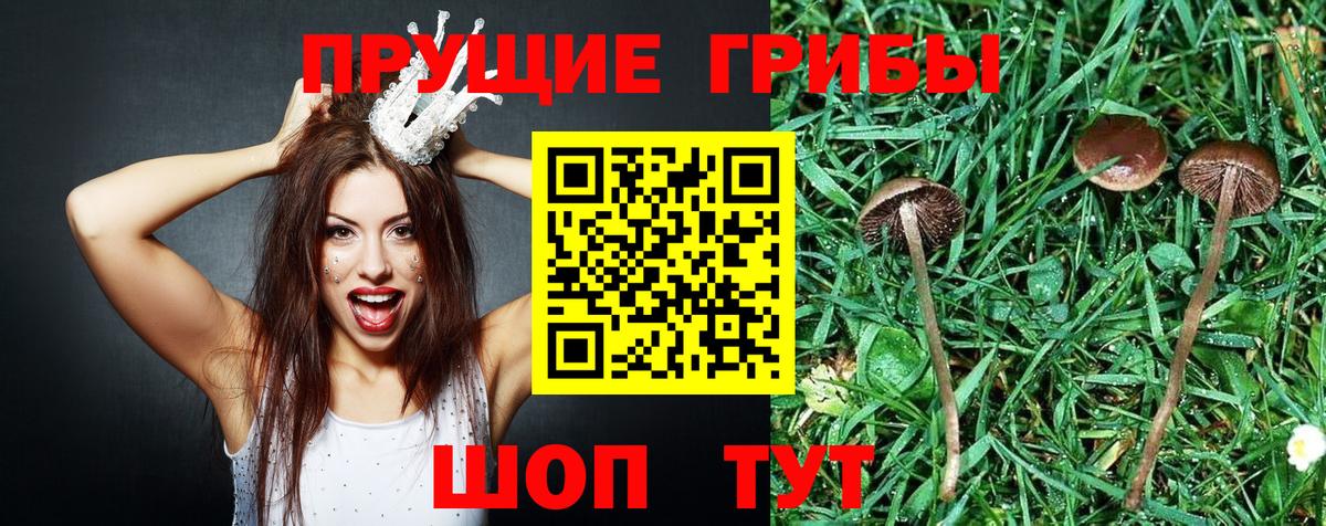 Саянск  Галлюциногенные грибы мухоморы  Вход с VPN 